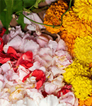 Pushpanjali (Offering Flowers)